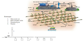 Penerapan Irigasi Tetes pada Lahan Perkebunan