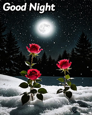 Winder And Rose Good Night Images