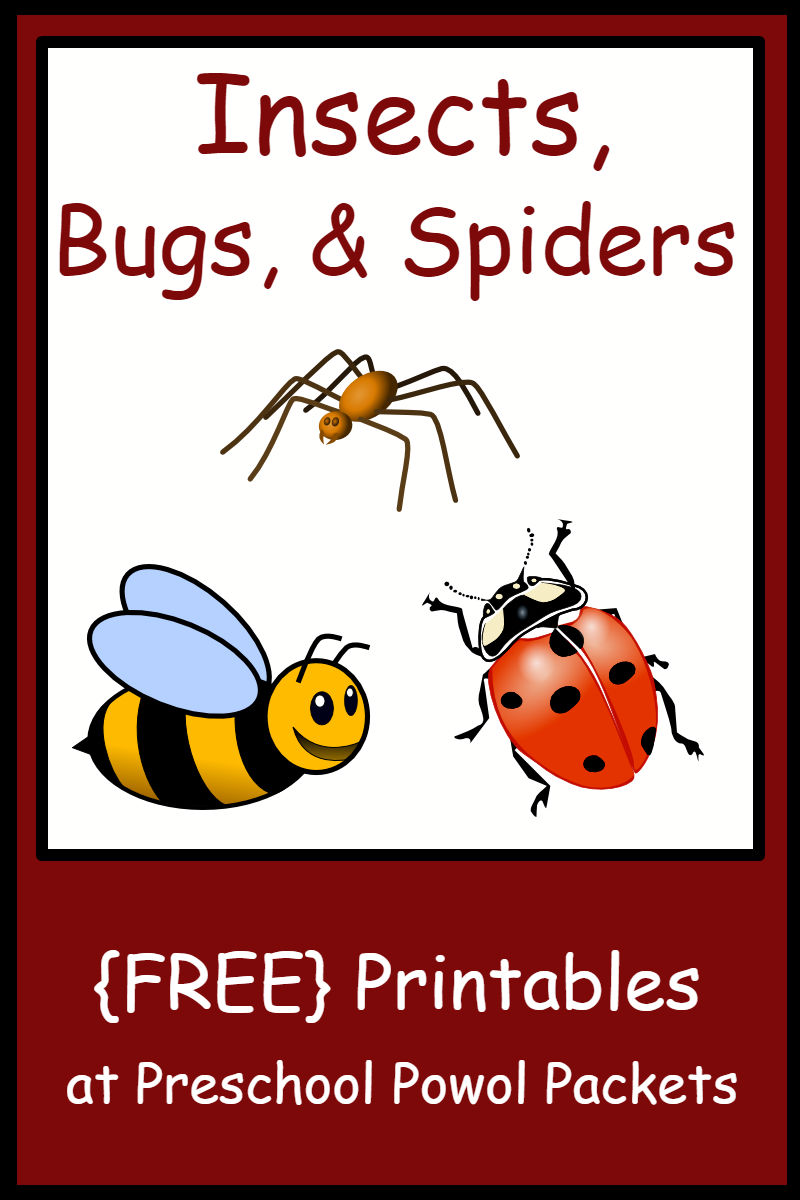insect bug spider themed free preschool printables preschool powol packets