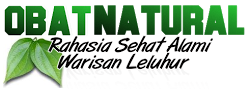 Tanaman Berkhasiat dan Obat Tradisional 