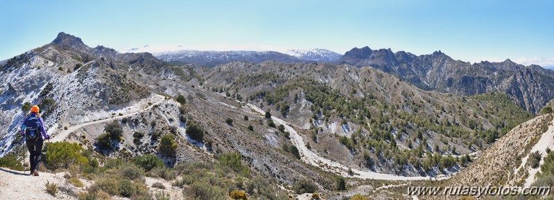 Trevenque - Cerro del Cocón - Cerro Gordo - Pico de la Carne