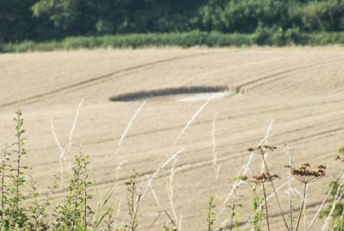 Circle Investigators Unknown Crop Circle Making Energies Present In Totnes Crop Formations
