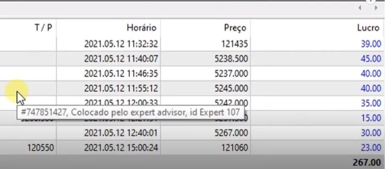 Robô Price Action para Mini Dólar Meta Batida Diária de 205 Reais