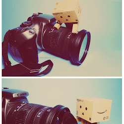 Wallpaper Danbo @ digaleri.com