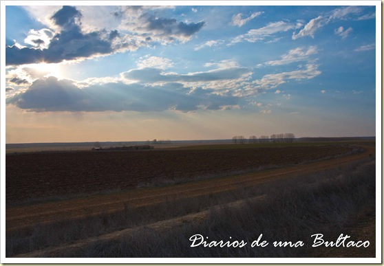 Sahagun El Real-8