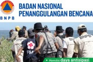 Lowongan Kerja BNPB (Badan Nasional Penanggulangan Bencana)