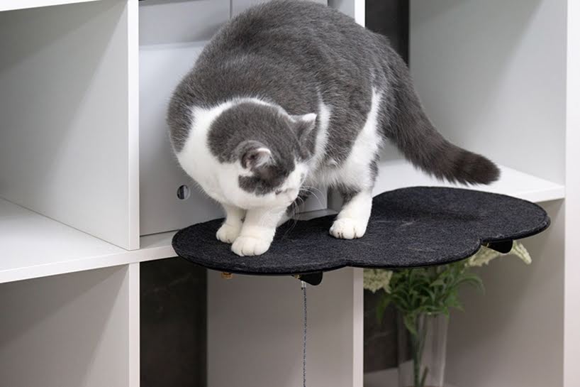 Plataformas de observación y juego para gatos se unen a los muebles de la casa