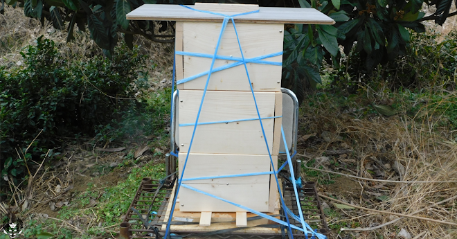 蜜蜂巣箱 bee hive