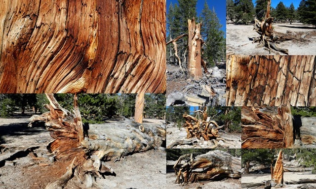 Lone Pine, Alabama Hills, CA1