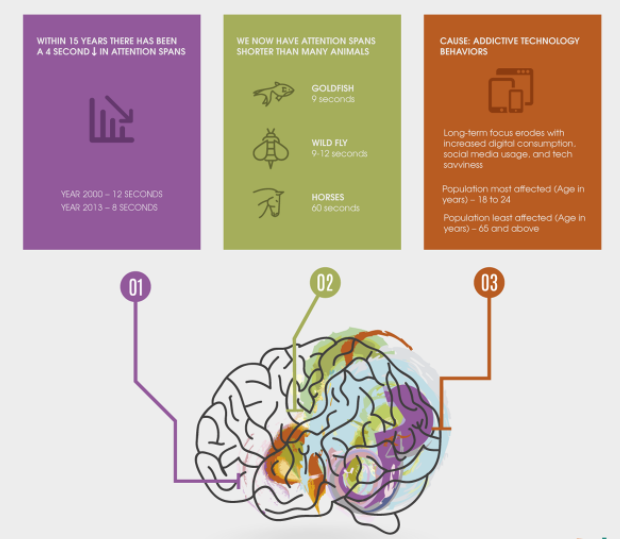 Growth Of Internet Usage And Its Effect on Human Brains [Infographic]