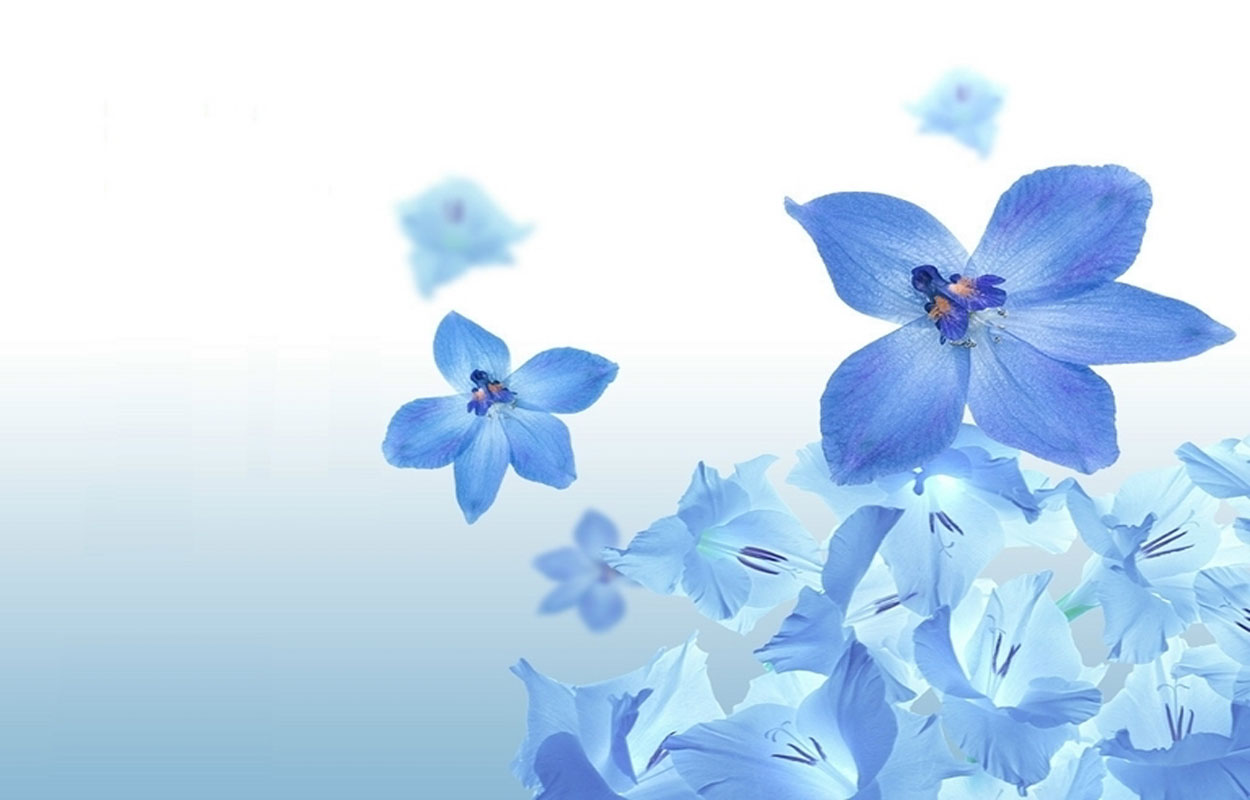 Moons Flower: Blue Flower Wallpaper
