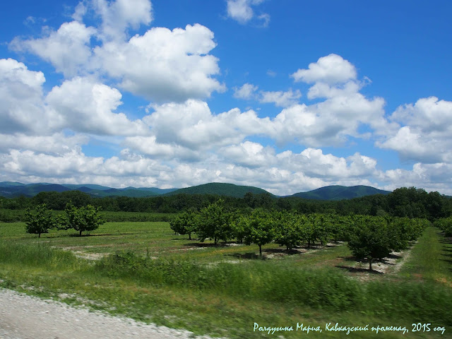 Краснодарский край фото