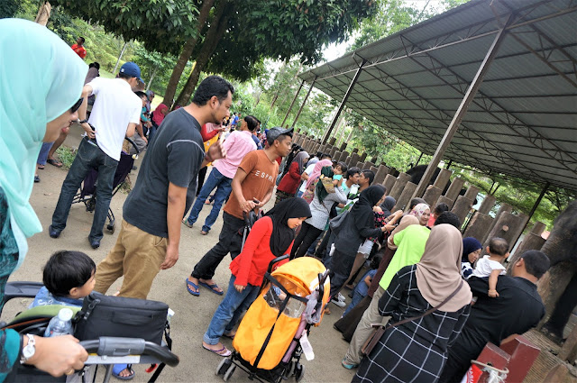 National Elephant Conservation Centre,Kuala Gandah: The Place For Rescued Orphaned Baby Elephants