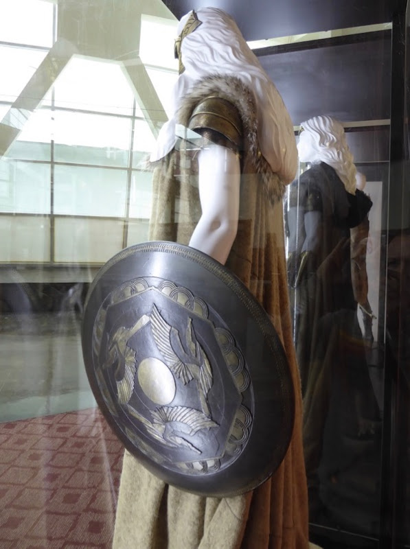 Queen Hippolyta costume shield Wonder Woman