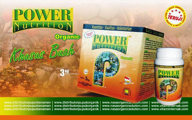 Power Nutrition adalah nutrisi lengkap khusus untuk tanaman buah. Power Nutrition dibuat dari bahan alami (organik) pilihan yang terjamin ketersediaannya dan diproses dengan mekanisme teknologi gradasi dan degradasi unsur melewati proses piruvatisasi tingkat 3 sehingga langsung dapat dimanfaatkan jaringan tanaman.