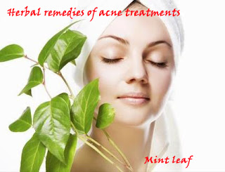 Natural and Herbal Remedies for Treatment Acne