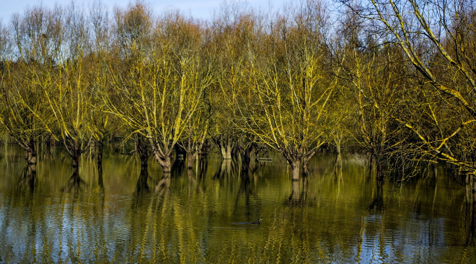 http://jerogiphotography.blogspot.com/2015/03/flooding-in-balzac.html