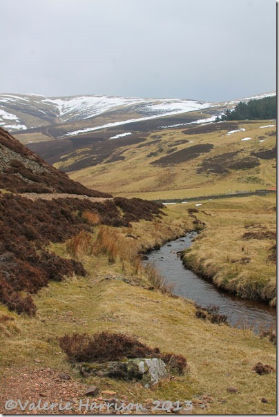 44-pentlands