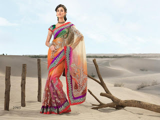 Embroidered Sarees Designs 2013