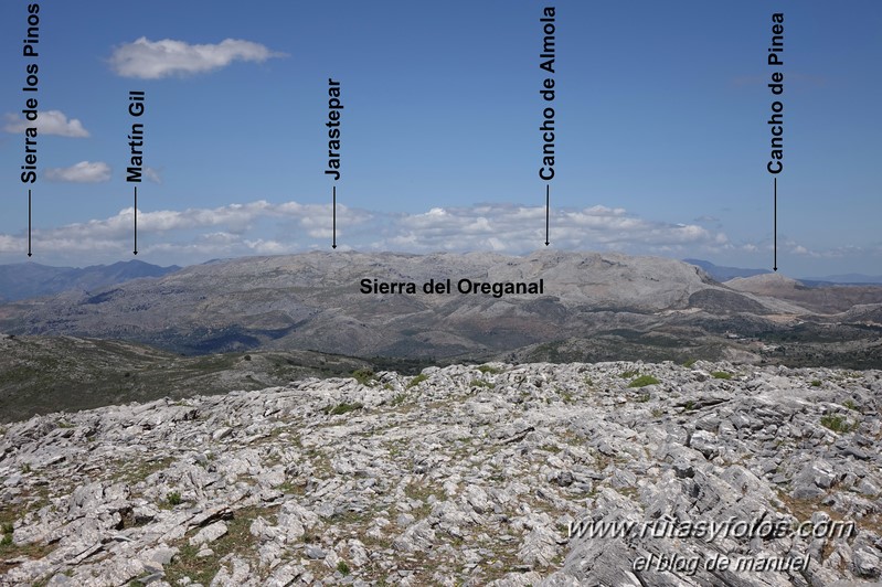 Cerro la Tala desde Conejeras