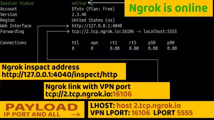 Ngrok Link Problem Fixed on Ubuntu, Kali Linux, Termux | Ngrok direct link is not working fixed 