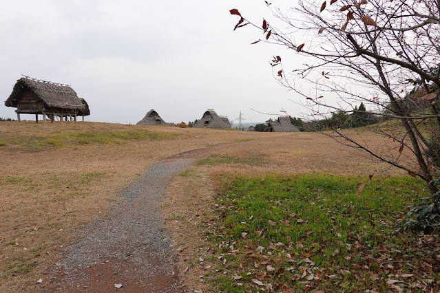 鳥取県西伯郡大山町富岡 むきばんだ史跡公園 弥生のムラ