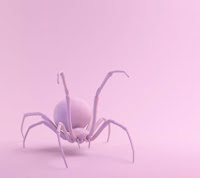 a spider on a pink background