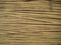 Bamboo Canes2
