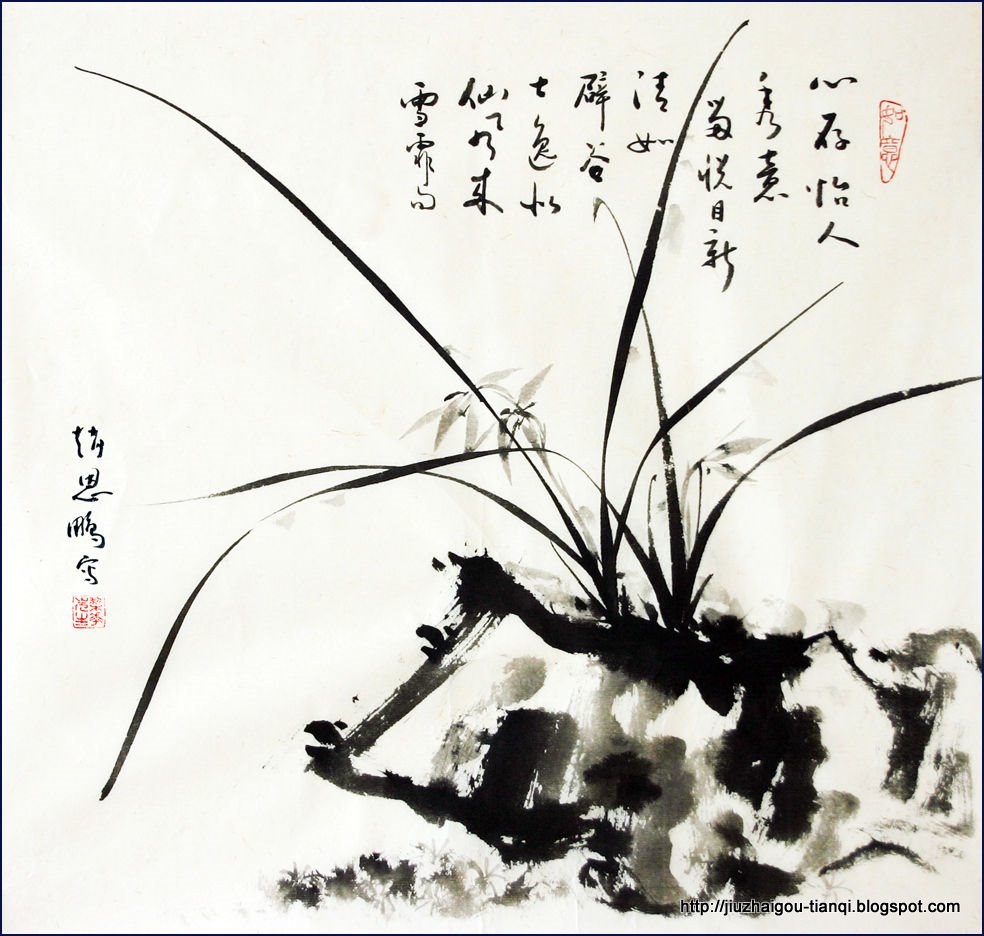 兰花-花:FL09020512053331