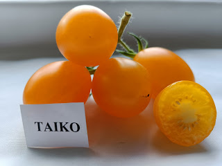 Taiko