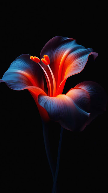 OLED Dark Flower iPhone Wallpaper 4K is a unique 4K ultra-high-definition wallpaper available to download in 4K resolutions.