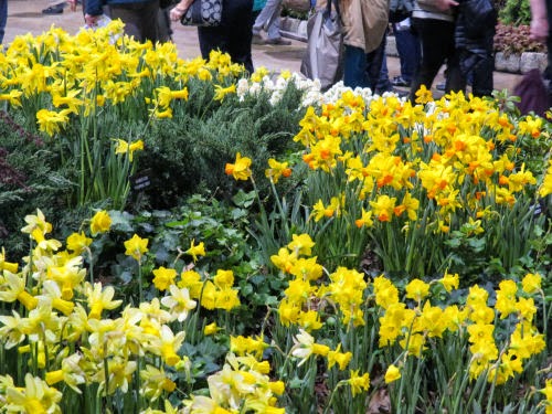 Philadelphia Flower Show 2015: Colors- Red