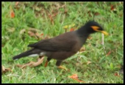 DSCF8651