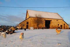 _20130121_908 [600x400]