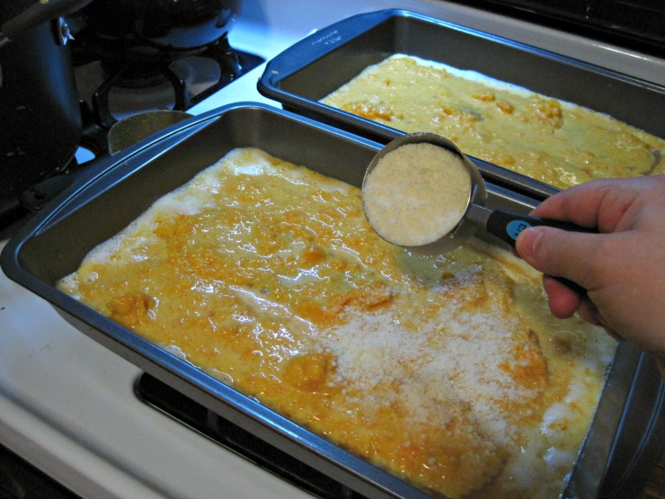 parmesan cheese over lasagna entree squash