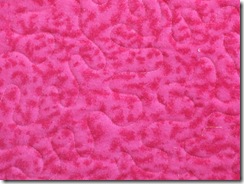 closeup of pink flannel