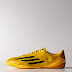 Adidas F10 Messi Futsal Shoes