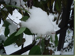 DSC00009