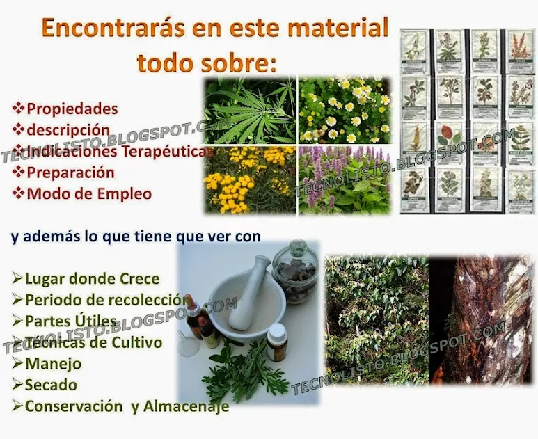 "Curso manual, herbolario natural"