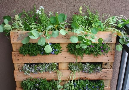 let the children play: 20 Playful Ideas for using Pallets at Preschool