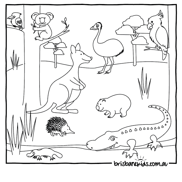 Australian Animals Colouring Pages