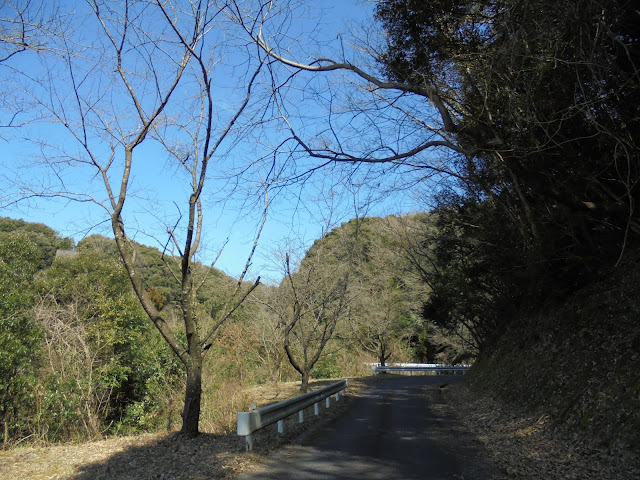 ダム方面へ向かいます