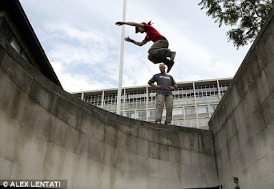 TreT - Parkour Dog From UKRAINE Seen On www.coolpicturegallery.us