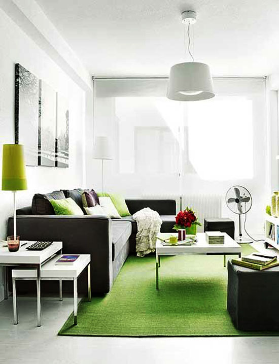 Small Apartment Interior Design