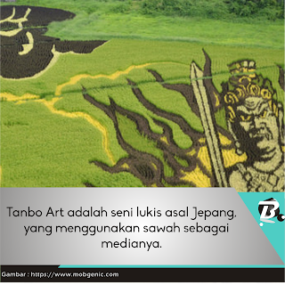 Bupugu - Tanbo Art