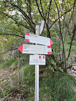 Trail 521 marker