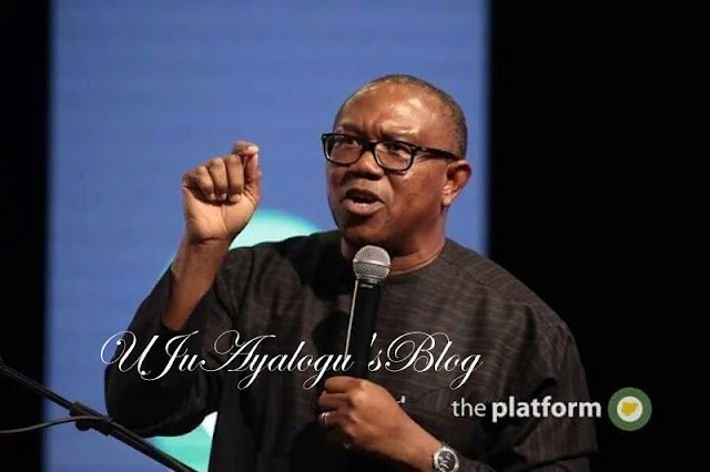 2023: Peter Obi a movement, may get 75-80 percent votes in Katsina, Kano – Buhari’s ex-aide