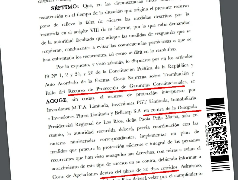 Predio tomado: Corte de Valdivia ordena a delegada presidencial implementar plan de resguardo