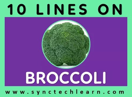 10 lines on broccoli in english