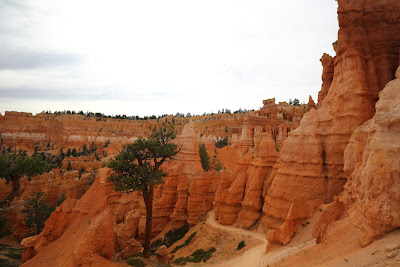 christographe zion national park bryce canyon 2013